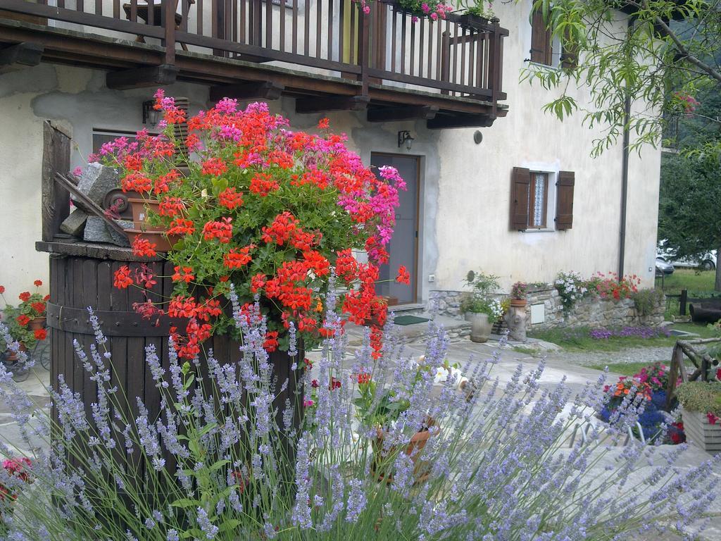 Gasthaus La Peiro Douco Roure Turin Exterior foto